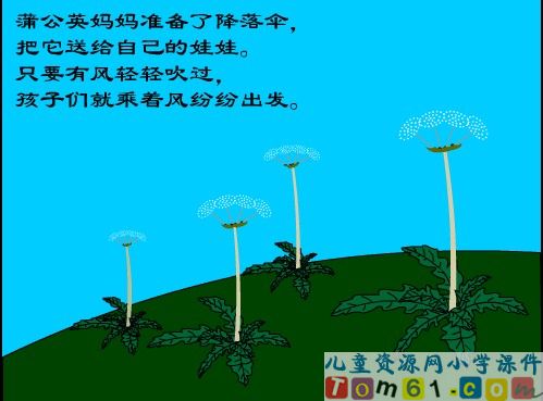 植物妈妈有办法课件25