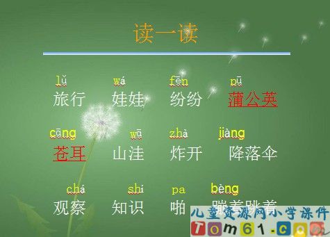 植物妈妈有办法课件43