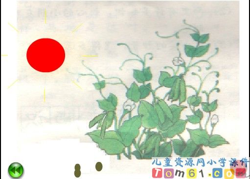 植物妈妈有办法课件26