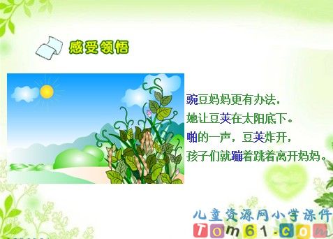 植物妈妈有办法课件36