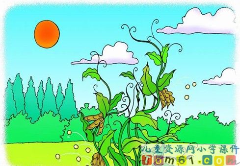 植物妈妈有办法课件9