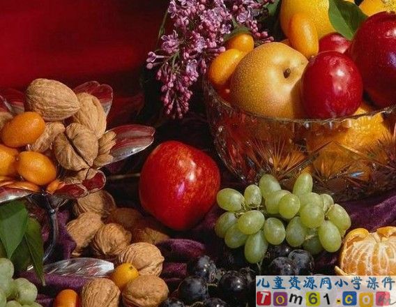 秋天的图画课件8