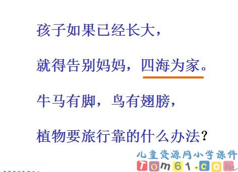 植物妈妈有办法课件16