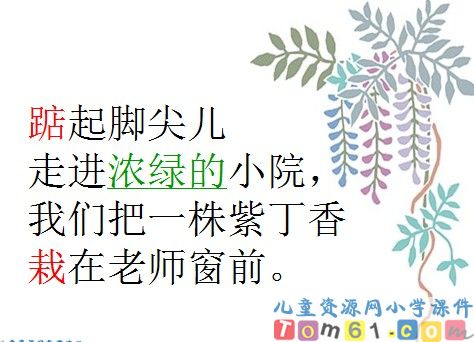 一株紫丁香课件15