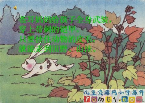 植物妈妈有办法课件24