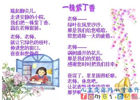 一株紫丁香课件25