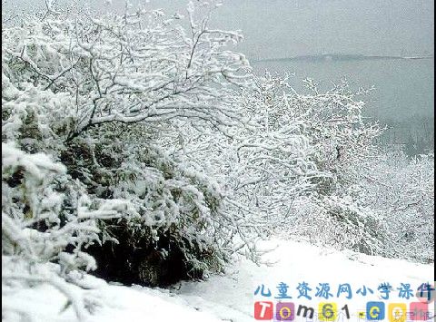 看雪课件13