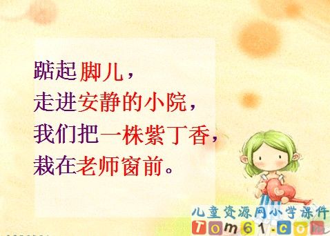 一株紫丁香课件21