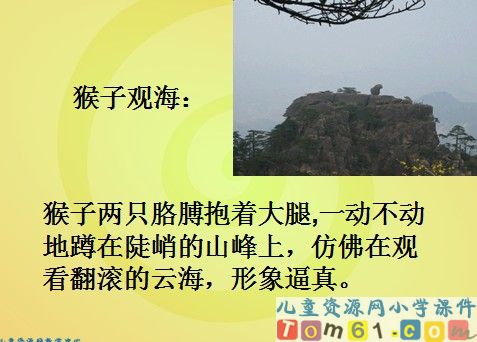 黄山奇石课件18