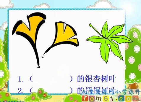 蓝色的树叶课件24