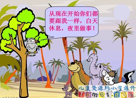 从现在开始课件29
