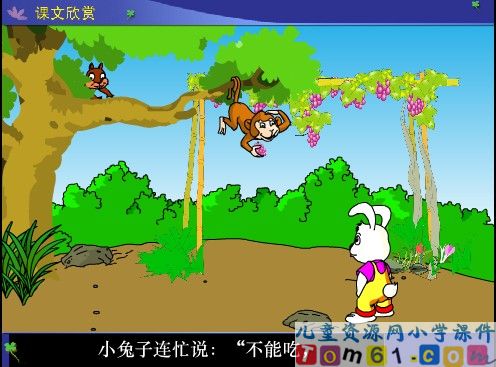 酸的和甜的课件31