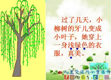 小柳树和小枣树课件20