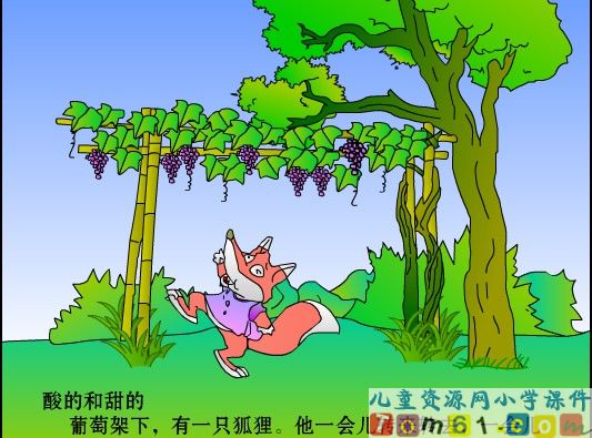 酸的和甜的课件12
