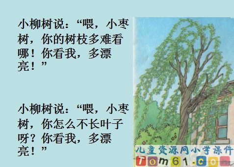 小柳树和小枣树课件21