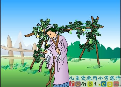 我要的是葫芦课件11