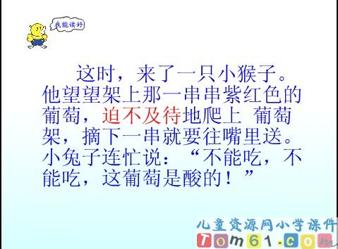 酸的和甜的课件14