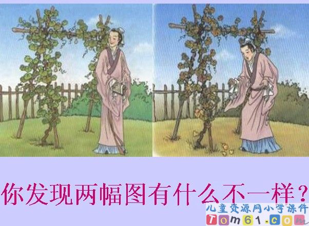 我要的是葫芦课件13