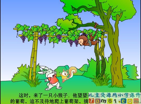 酸的和甜的课件13