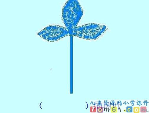 蓝色的树叶课件13