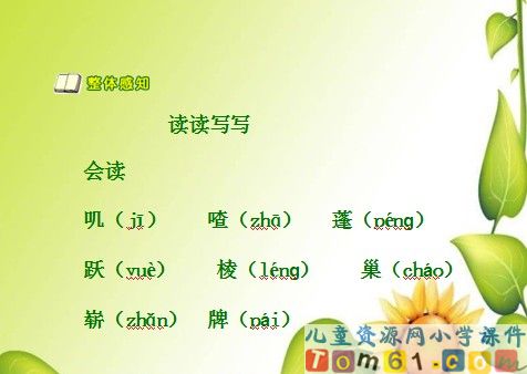 红领巾真好课件29