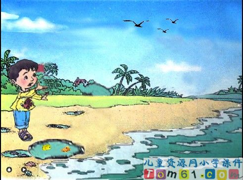 浅水洼里的小鱼课件15