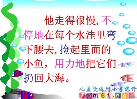 浅水洼里的小鱼课件12