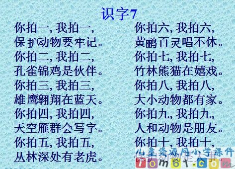 父亲和鸟课件14