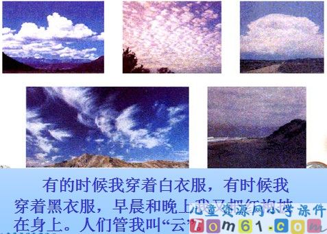 我是什么课件14