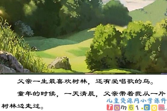 父亲和鸟课件20