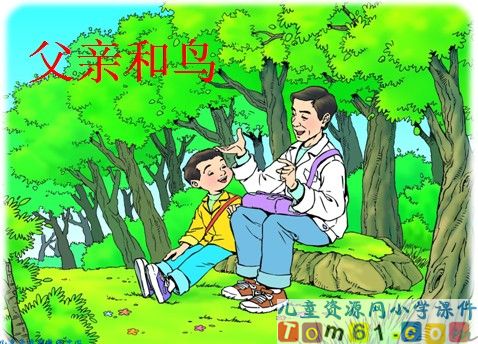 父亲和鸟课件13