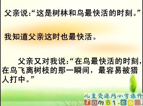 父亲和鸟课件22