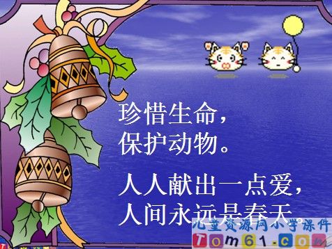 浅水洼里的小鱼课件11