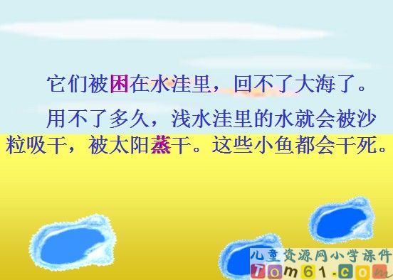 浅水洼里的小鱼课件26