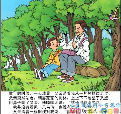 父亲和鸟课件11
