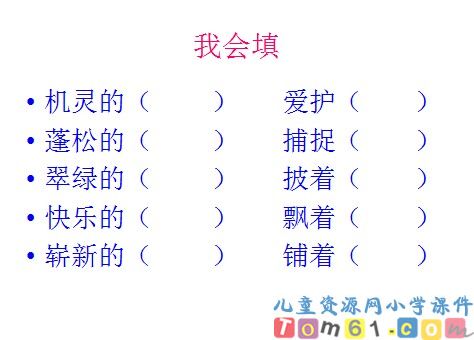 红领巾真好课件20