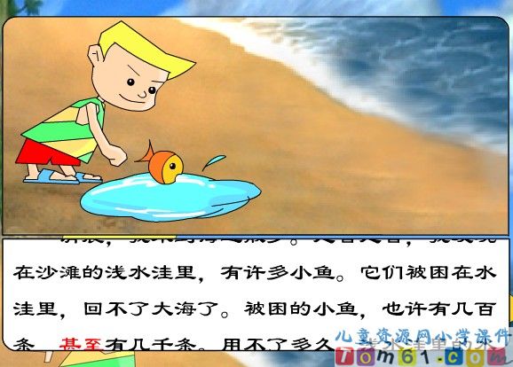 浅水洼里的小鱼课件25