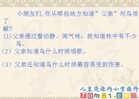 父亲和鸟课件18