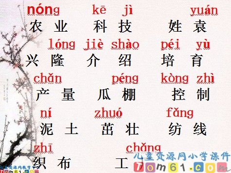 农业的变化真大课件12