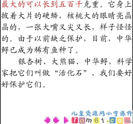 活化石课件8