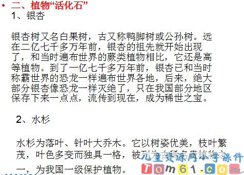 活化石课件13