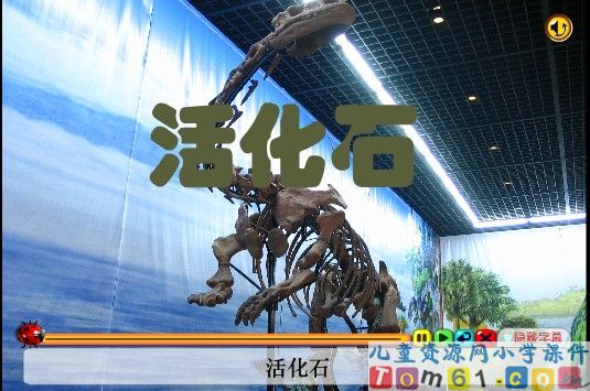 活化石课件15