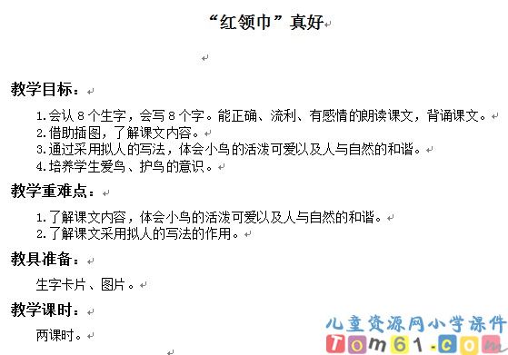红领巾真好教案2