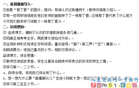 一株紫丁香教案6