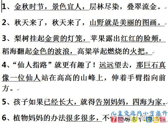 单元复习教案13