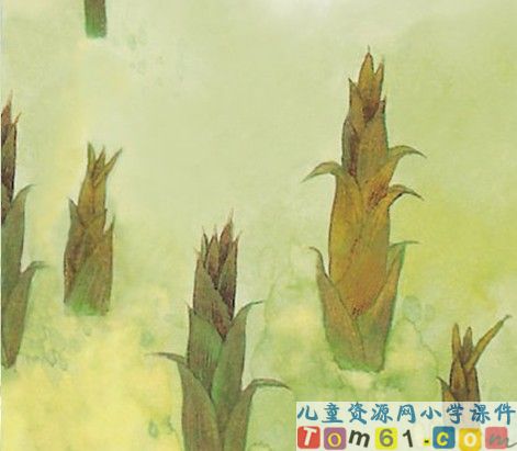 笋芽儿课件1