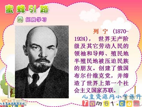 蜜蜂引路课件4