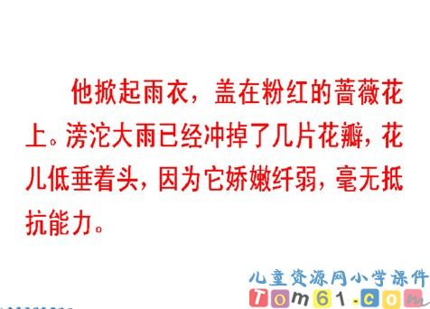 我不是最弱小的课件7