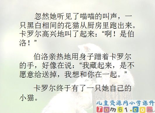 卡罗尔和她的小猫课件4