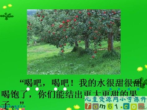 泉水课件12